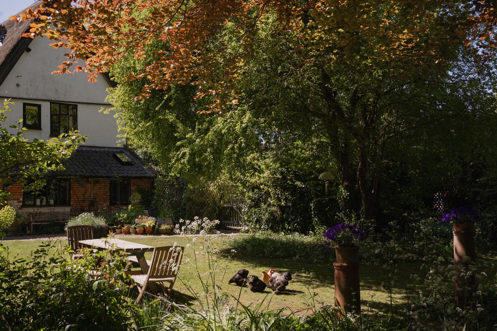 Temple Bar House - Image 3